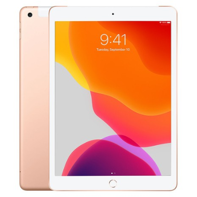 iPad 2019 10.2 Wi-Fi + 4G